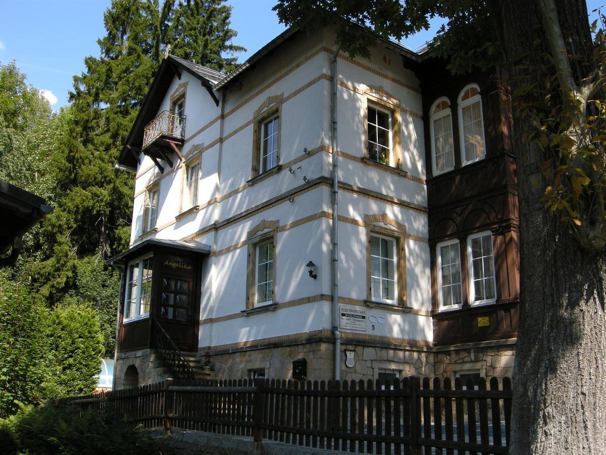 Villa Angelika Altenberg Exterior photo